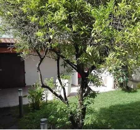 Vale's Garden Flat Apartment *
